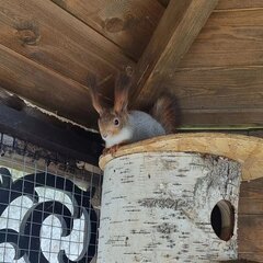 Глэмпинг The Les, Московская область