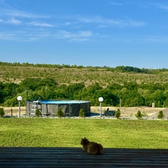 Дом Лис и Сова, Волгоградская область