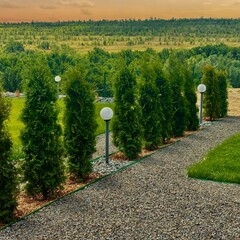 Дом Лис и Сова, Волгоградская область