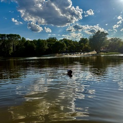 Дом Лис и Сова, Волгоградская область