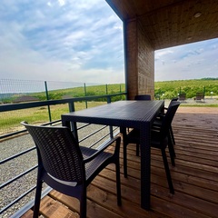 Дом Лис и Сова, Волгоградская область