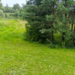 Частный дом Djindo house, Калужская область