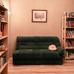 Частный дом Djindo house, Калужская область