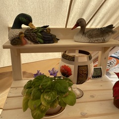 Глэмпинг Байкал, Московская область