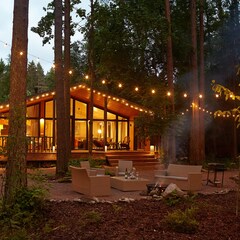 Дом Репинские дачи, Ленинградская область