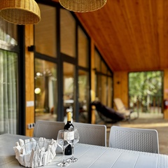 Дом Репинские дачи, Ленинградская область