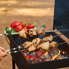 Дом Репинские дачи, Ленинградская область