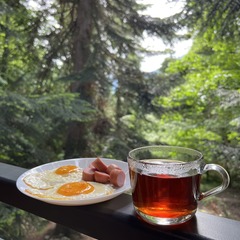 Гостевой дом Витаура, Республика Карачаево-Черкесия 