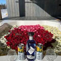 Дом Water Villa, Московская область