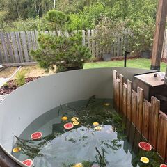 Дом в аренду Гнездо, Московская область