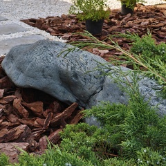 Дом в аренду Гнездо, Московская область