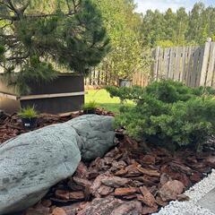 Дом в аренду Гнездо, Московская область