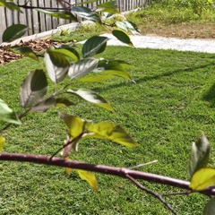 Дом в аренду Гнездо, Московская область