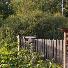 Дом в аренду Гнездо, Московская область