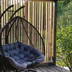 Дом в аренду Гнездо, Московская область