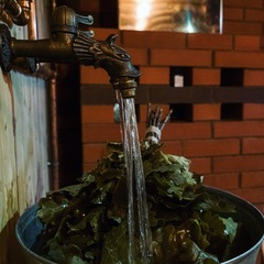 Парк-отель Красный бережок, Новгородская область