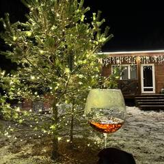 Гостевой дом Перезагрузка , Республика Алтай