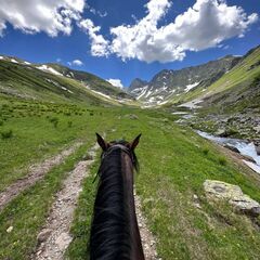 Дом Теремок , Республика Карачаево-Черкесия 