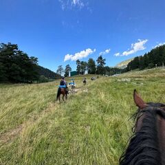 Дом Теремок , Республика Карачаево-Черкесия 