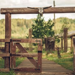 Гостевой дом Остров Kattegat, Московская область