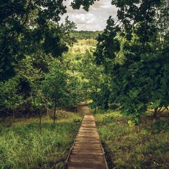 Гостевой дом Остров Kattegat, Московская область