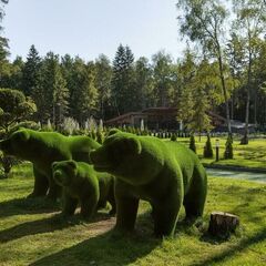 Отель LES art resort, Рузский район, Московская область