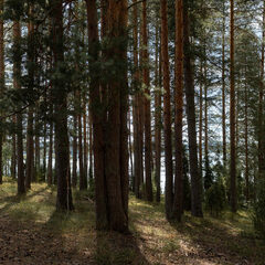 База отдыха  в Столбово, Новгородская область