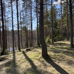 База отдыха  в Столбово, Новгородская область