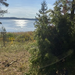 База отдыха  в Столбово, Новгородская область