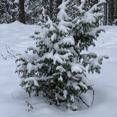 База отдыха  в Столбово, Новгородская область