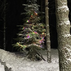 База отдыха  в Столбово, Новгородская область