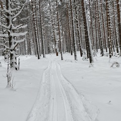 База отдыха  в Столбово, Новгородская область