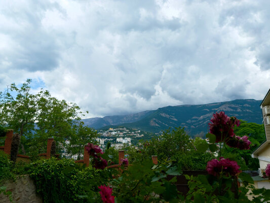 Floral courtyard — фото 5
