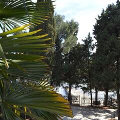 Парк-отель Феодоро, Крым