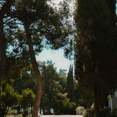 Парк-отель Феодоро, Крым