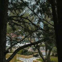 Парк-отель Феодоро, Крым