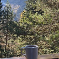 База отдыха Гринвальд 1474, Республика Карачаево-Черкесия 