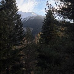 База отдыха Гринвальд 1474, Республика Карачаево-Черкесия 