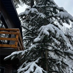 База отдыха Гринвальд 1474, Республика Карачаево-Черкесия 