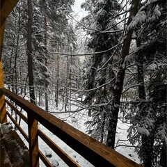 База отдыха Гринвальд 1474, Республика Карачаево-Черкесия 