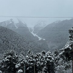 База отдыха Гринвальд 1474, Республика Карачаево-Черкесия 