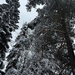 База отдыха Гринвальд 1474, Республика Карачаево-Черкесия 