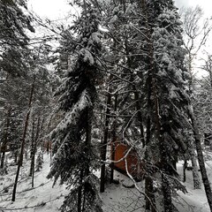 База отдыха Гринвальд 1474, Республика Карачаево-Черкесия 