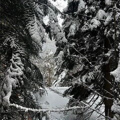 База отдыха Гринвальд 1474, Республика Карачаево-Черкесия 