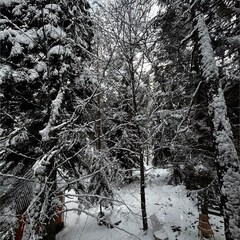 База отдыха Гринвальд 1474, Республика Карачаево-Черкесия 