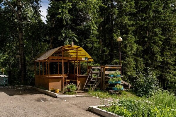 Энергетик — фото 2