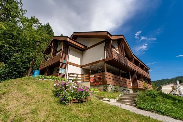 Энергетик — фото 3