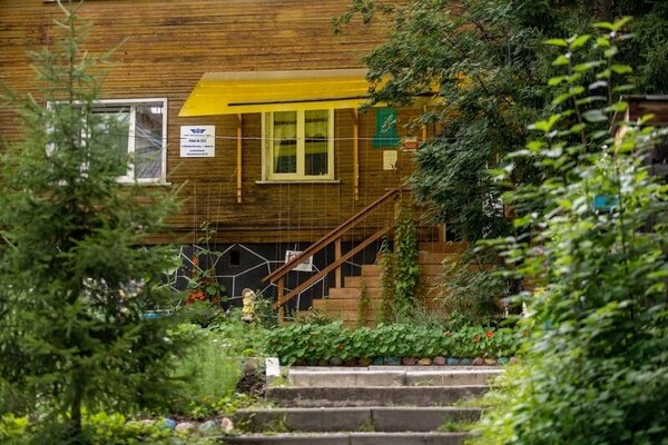 Энергетик — фото 4