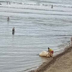 Дом Садко, Приморский край