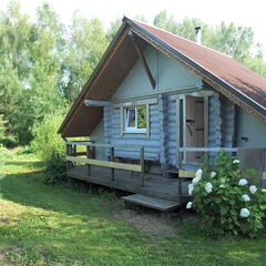 Дом из сруба на большой зеленой территории , Московская область